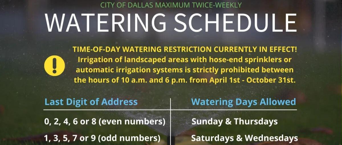 Watering Schedule