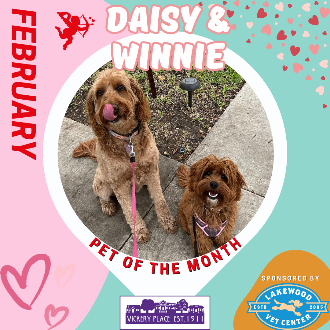 February Pet(s) of the Month