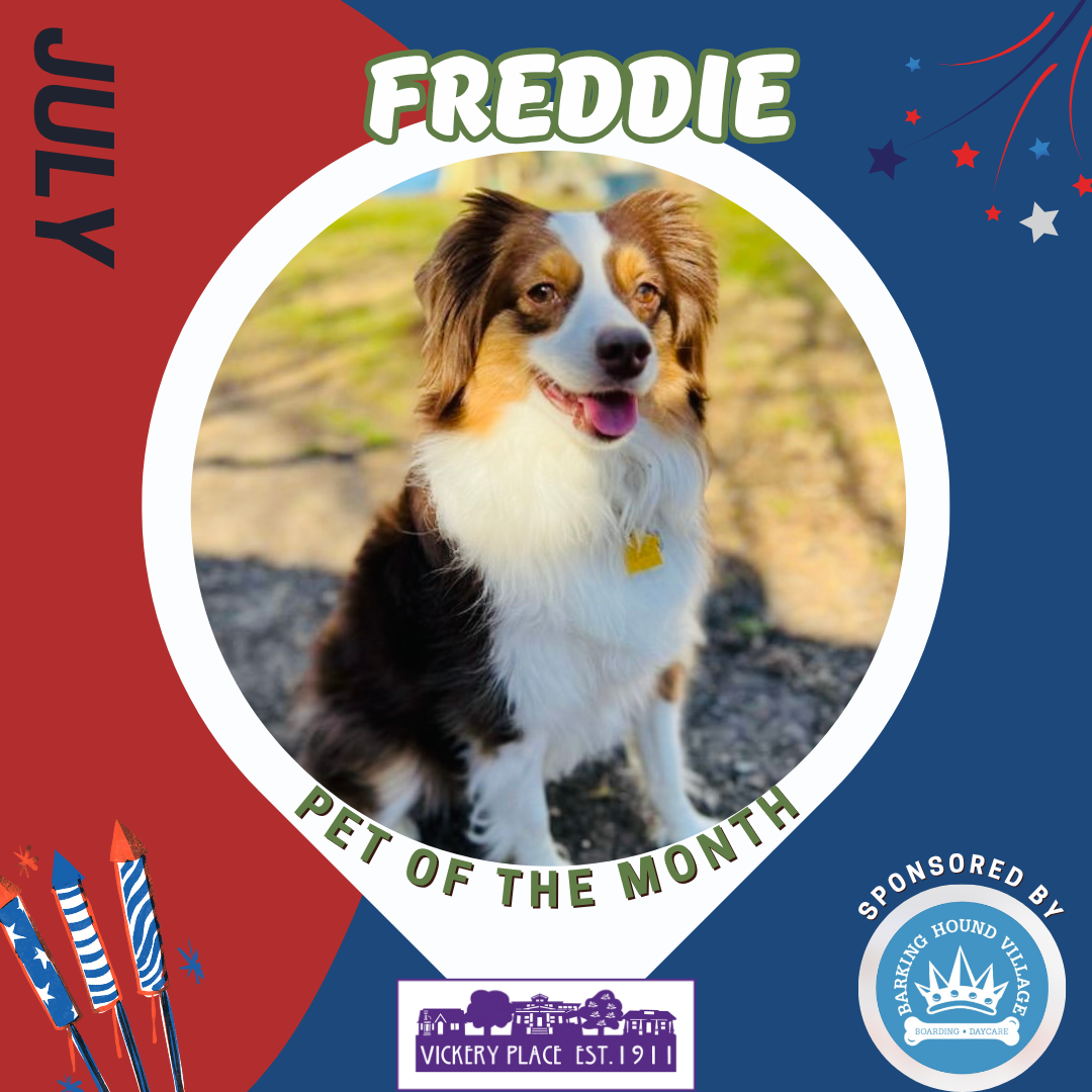 July Pet of the Month - Freddie