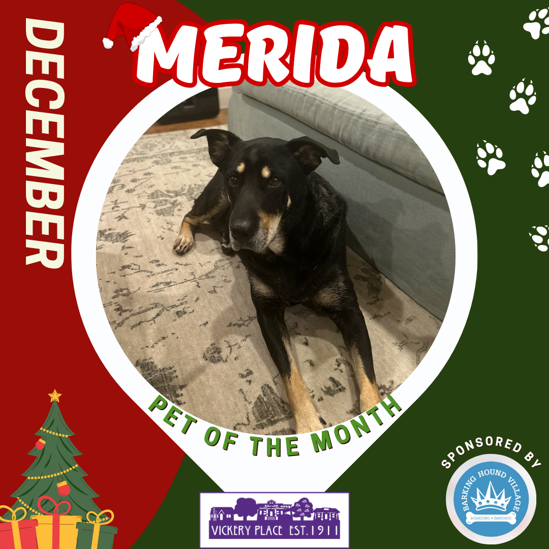 December Pet of the Month