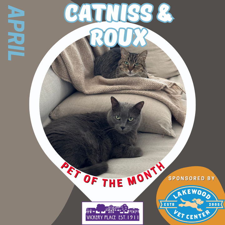 April Pet of the Month