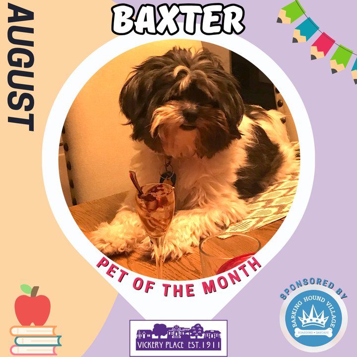 Pet of the Month - Baxter