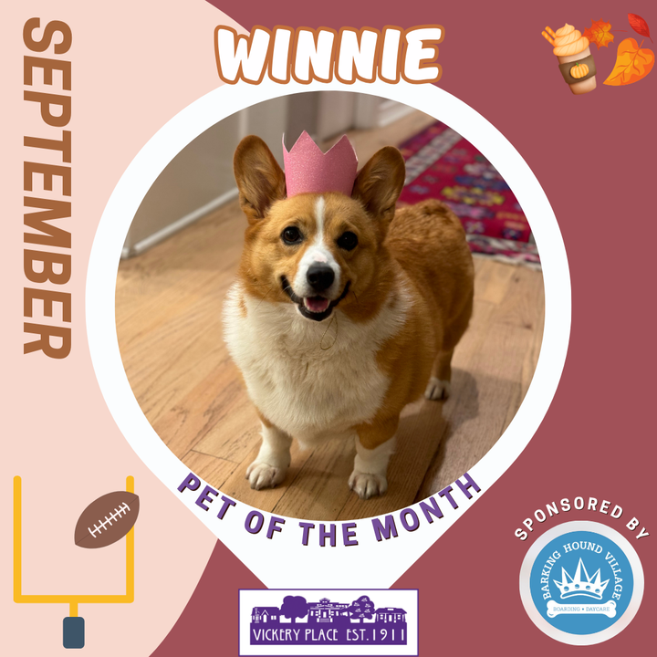 September Pet of the Month - Winnie