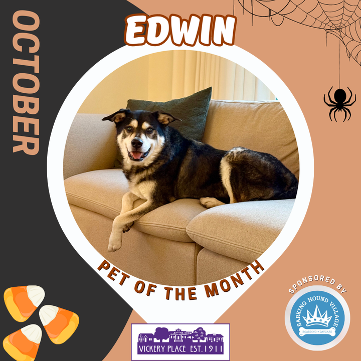 October Pet of the Month - Edwin