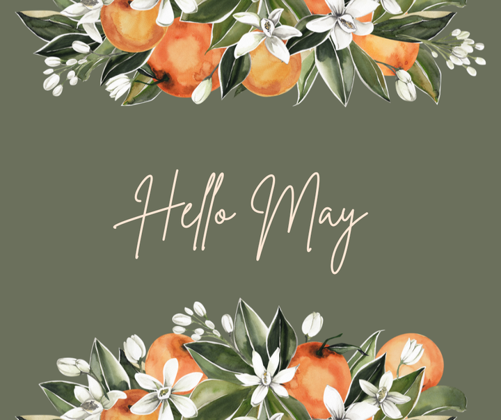 MAY VPNA NEIGHBORHOOD NEWSLETTER